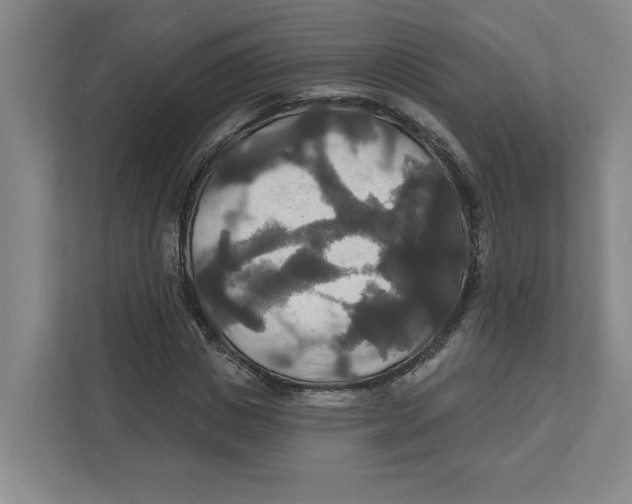 X0000111820825200908201129