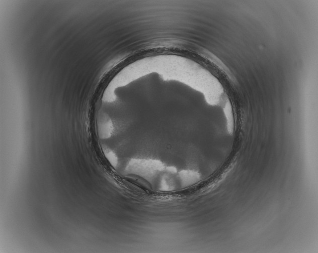 X0000111820826200908201129
