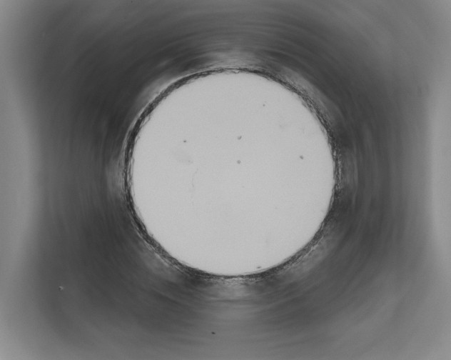 X0000111820828200908201129