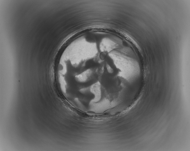 X0000111820829200908201129