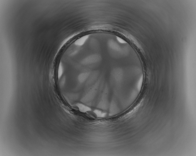 X0000111820830200908201129