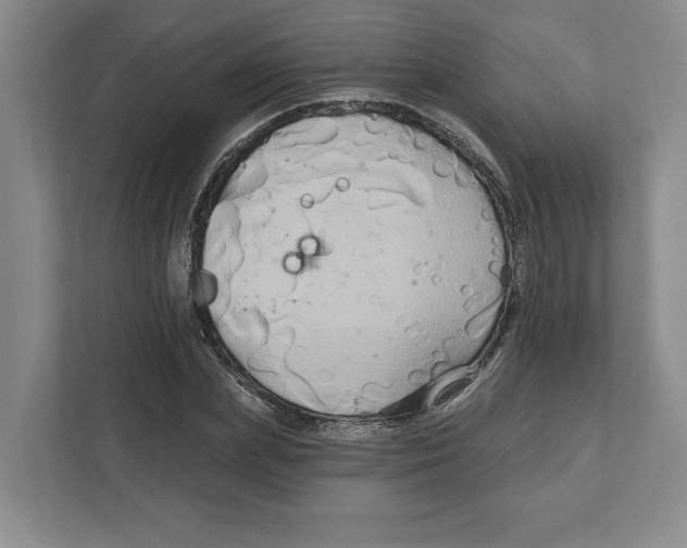 X0000111820831200908201129