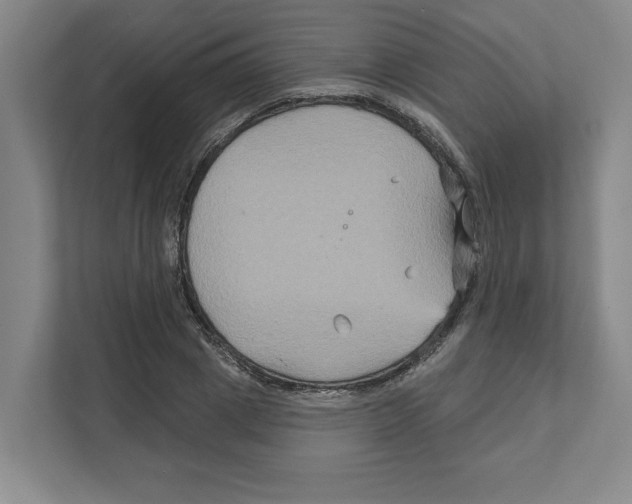 X0000111820833200908201129