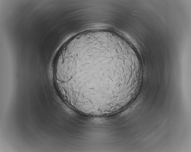 X0000111820835200908201129
