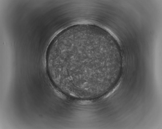 X0000111820837200908201129