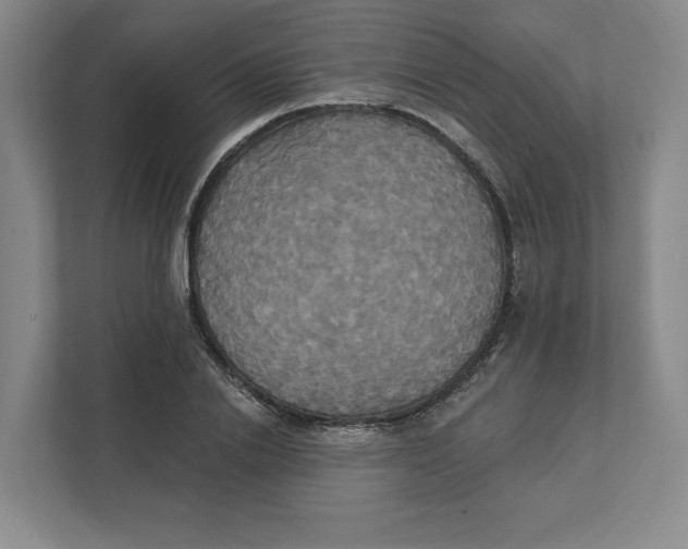 X0000111820838200908201129