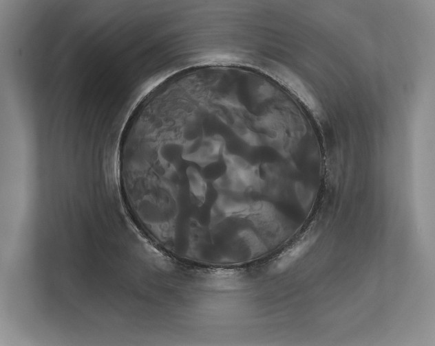 X0000111820839200908201129