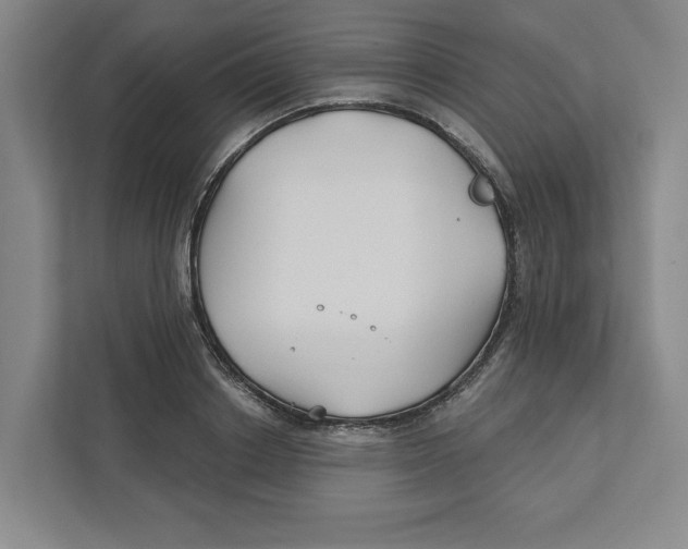 X0000111820842200908201129