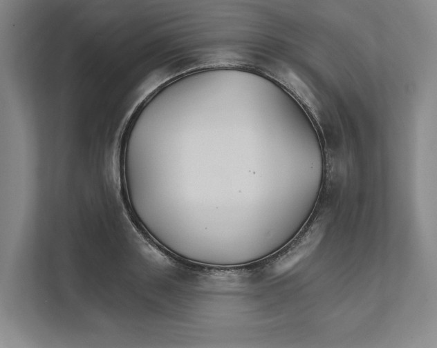 X0000111820843200908201129