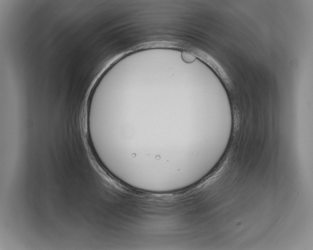 X0000111820844200908201129