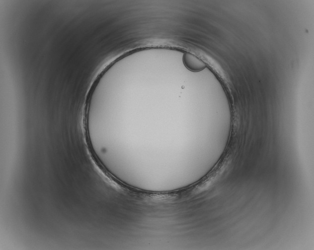 X0000111820847200908201129
