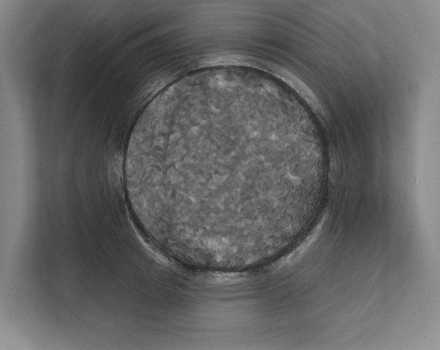 X0000111820849200908201129