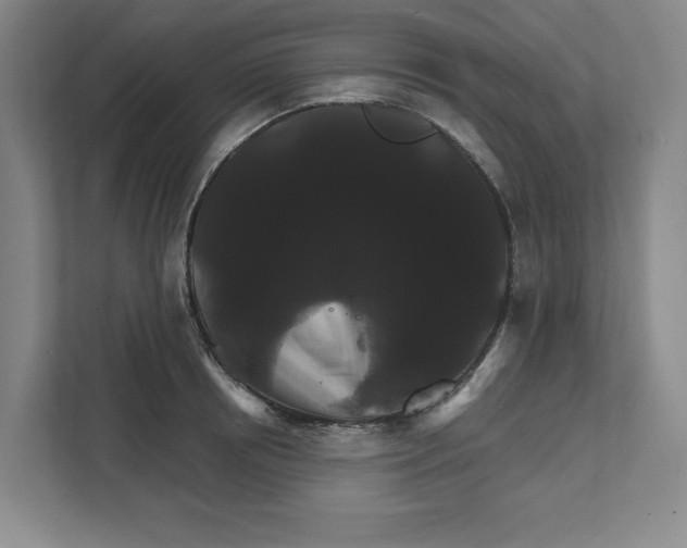 X0000111820850200908201129