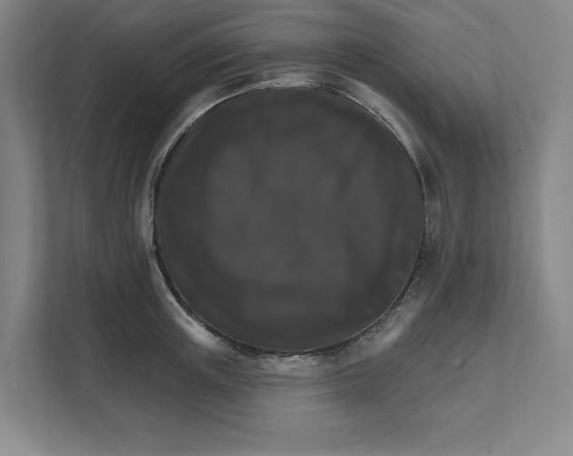 X0000111820851200908201129