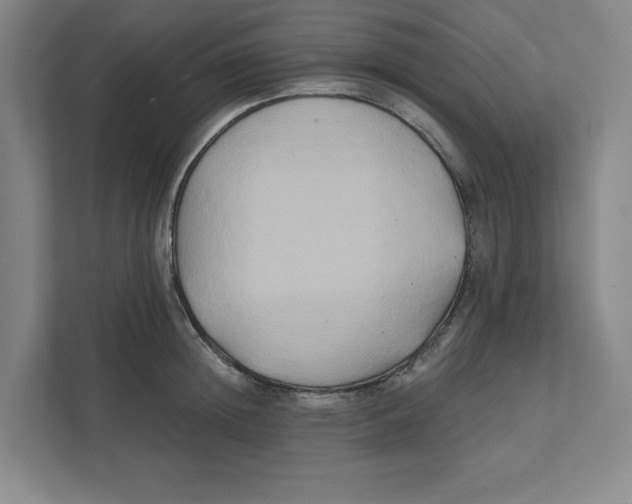 X0000111820852200908201129