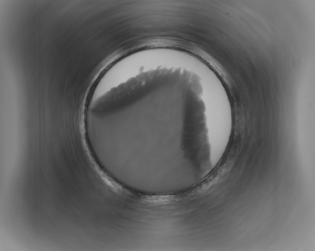 X0000111820853200908201129