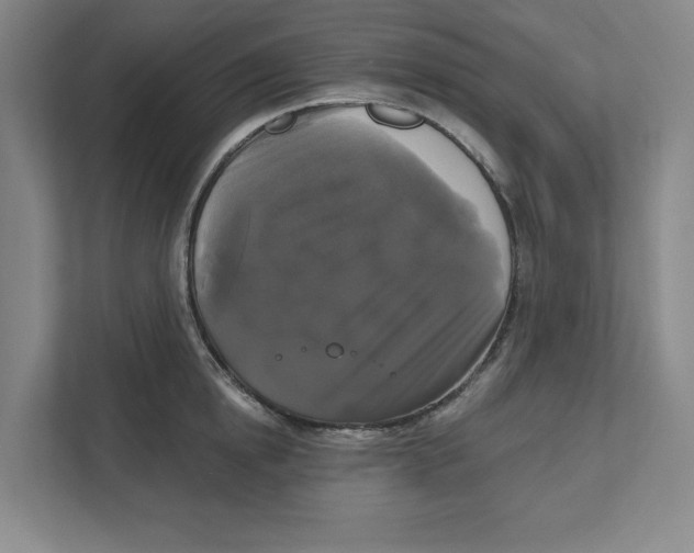 X0000111820854200908201129