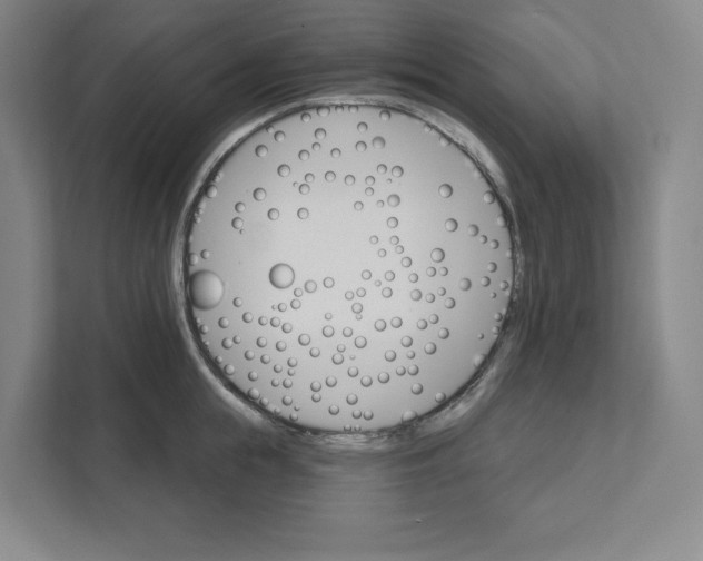 X0000111820855200908201129