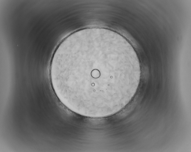 X0000111820856200908201129