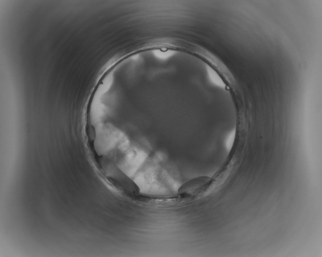 X0000111820858200908201129