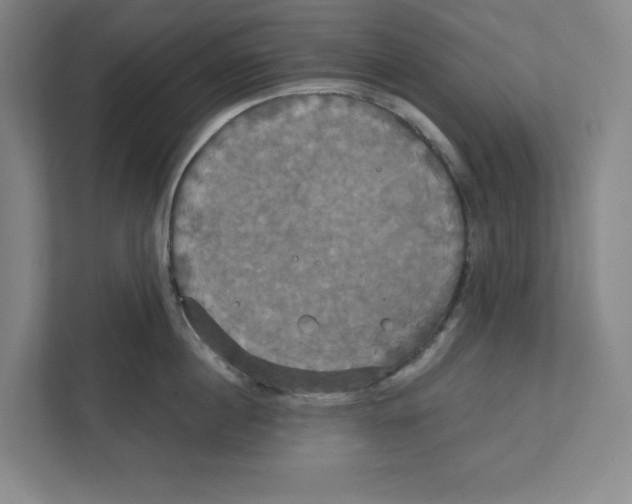 X0000111820860200908201129