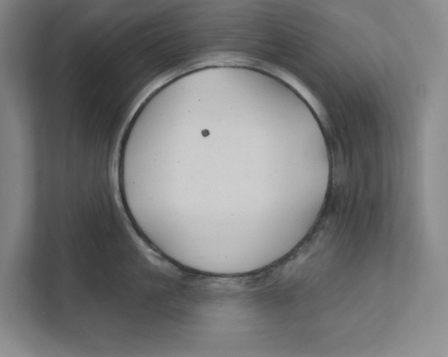 X0000111820861200908201129