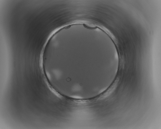 X0000111820862200908201129