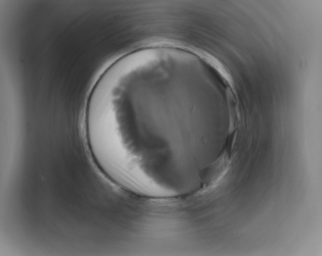 X0000111820863200908201129