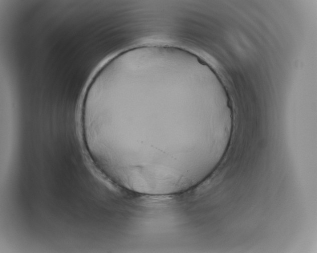 X0000111820864200908201129