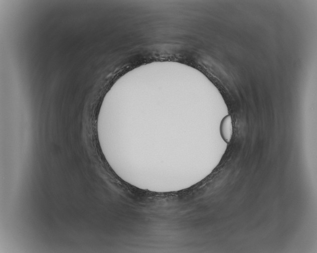 X0000111820865200908201129