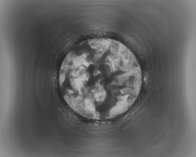 X0000111820867200908201129