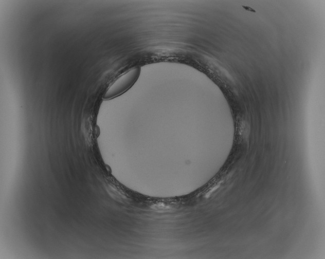 X0000111820868200908201129