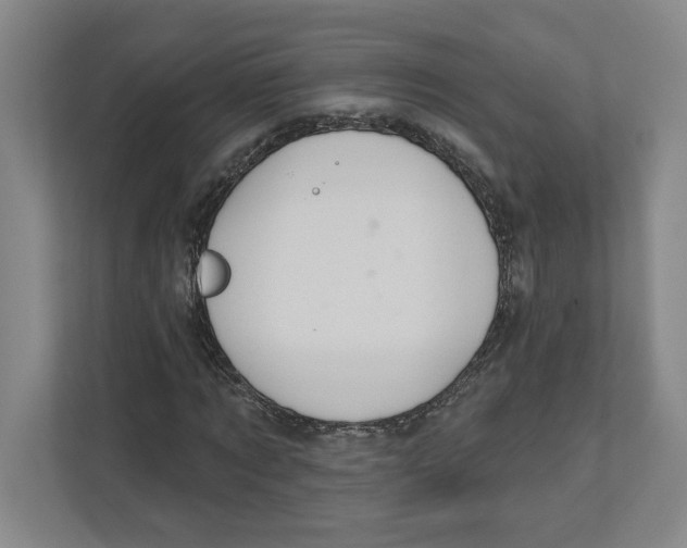 X0000111820869200908201129