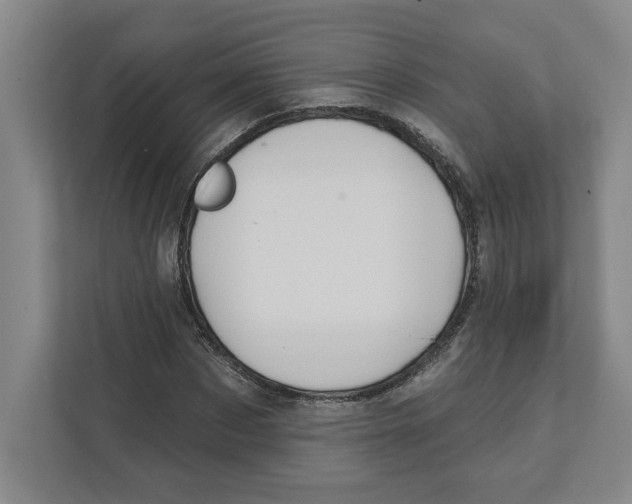 X0000111820873200908201128