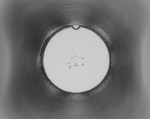 X0000111820876200908201128