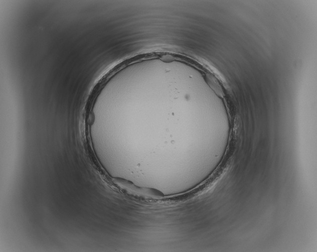 X0000111820877200908201128