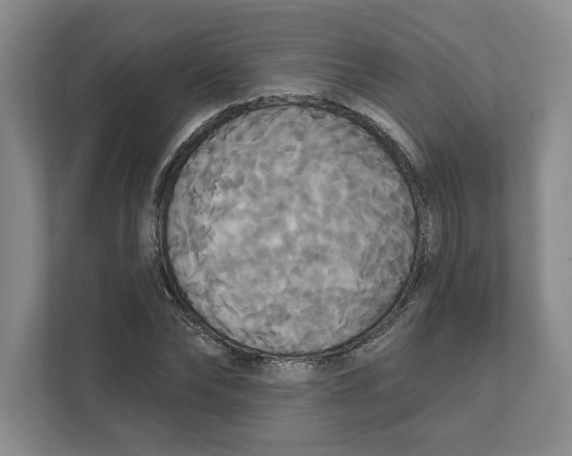 X0000111820878200908201128