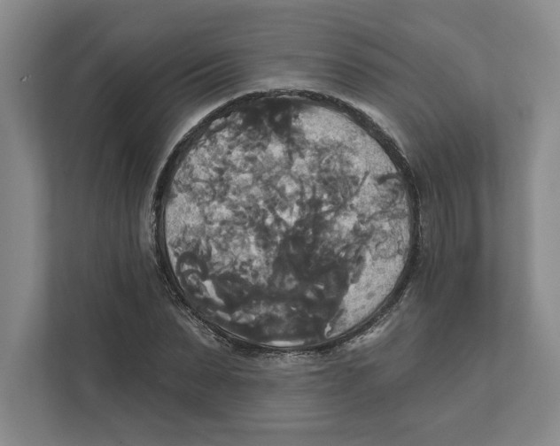 X0000111820879200908201128