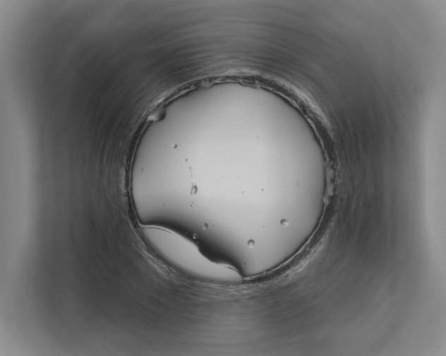 X0000111820881200908201128