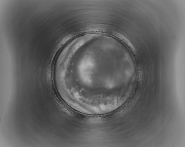 X0000111820882200908201128