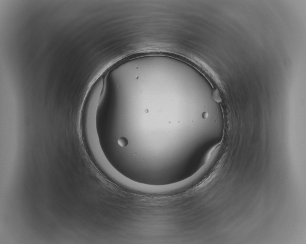 X0000111820885200908201128