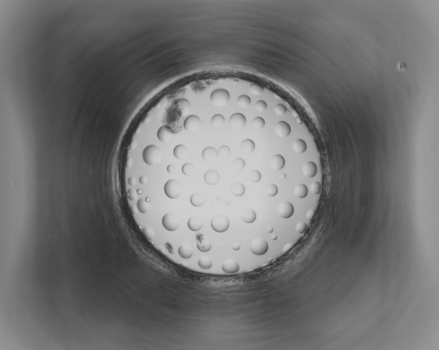 X0000111820887200908201128