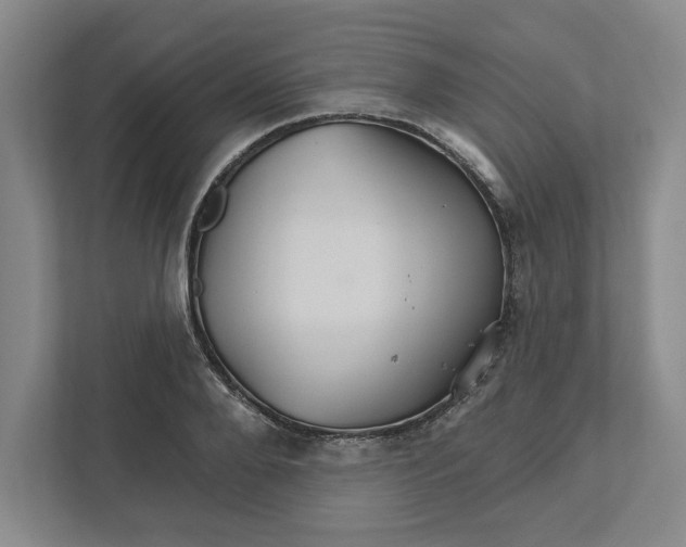 X0000111820888200908201128