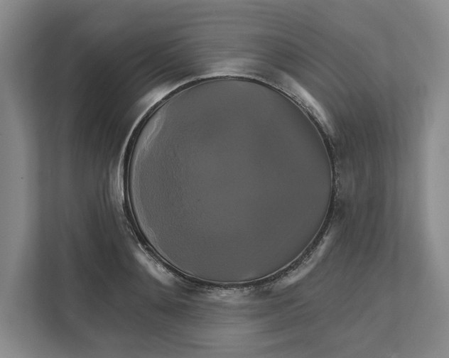 X0000111820892200908201128