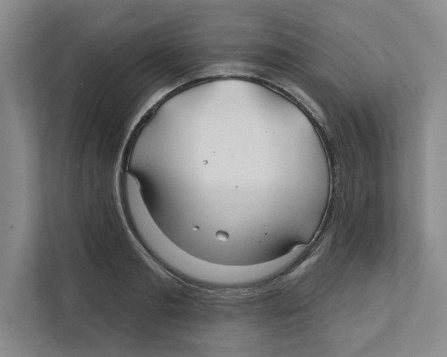 X0000111820893200908201128