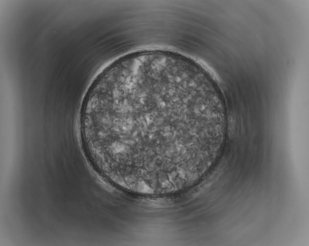 X0000111820895200908201128