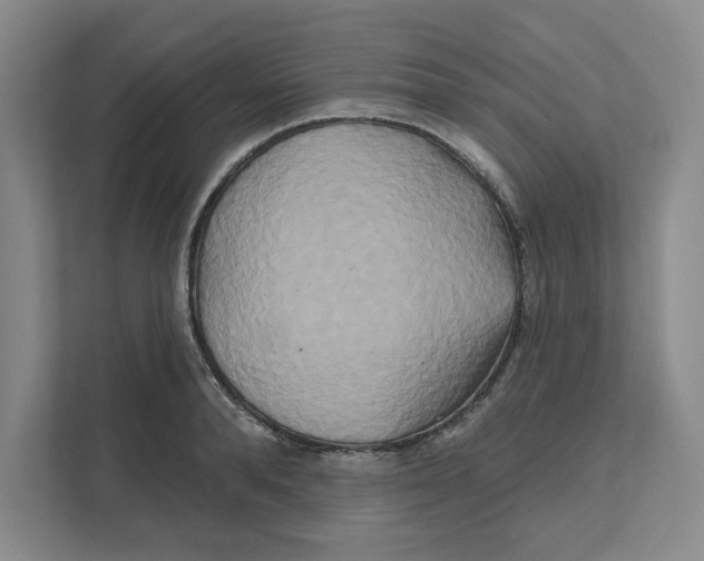 X0000111820896200908201128