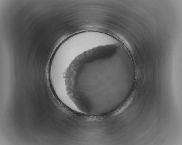 X0000111820899200908201128