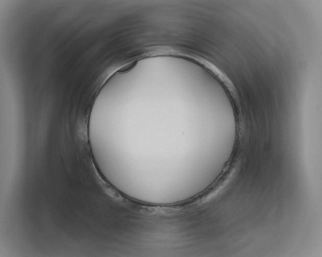 X0000111820905200908201128