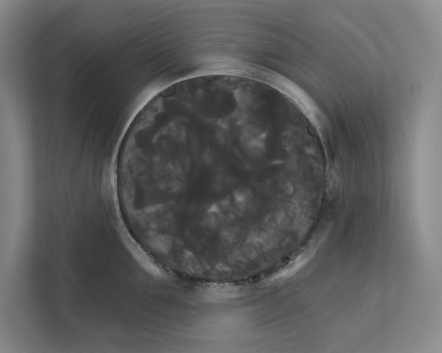 X0000111820907200908201128